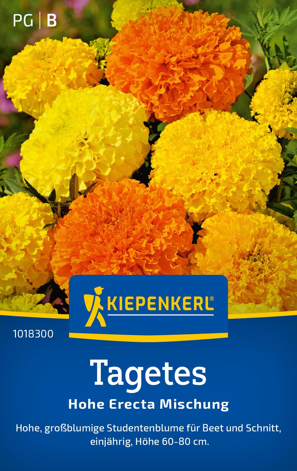 Tagetessamen Hohe Erecta Mischung