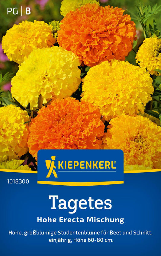 Tagetessamen Hohe Erecta Mischung