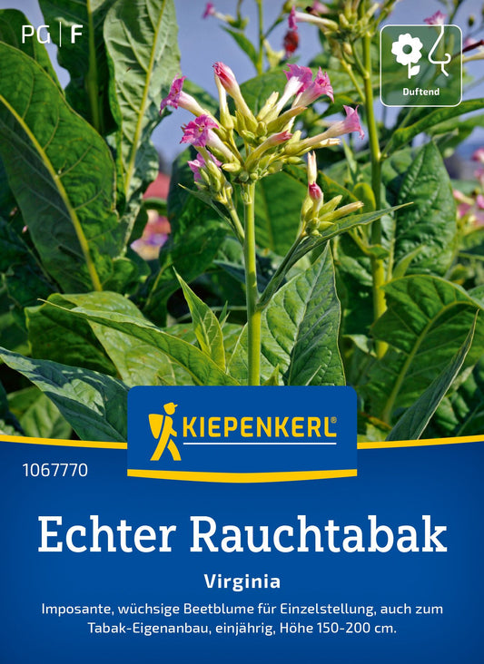 Echter Rauchtabak Virginia