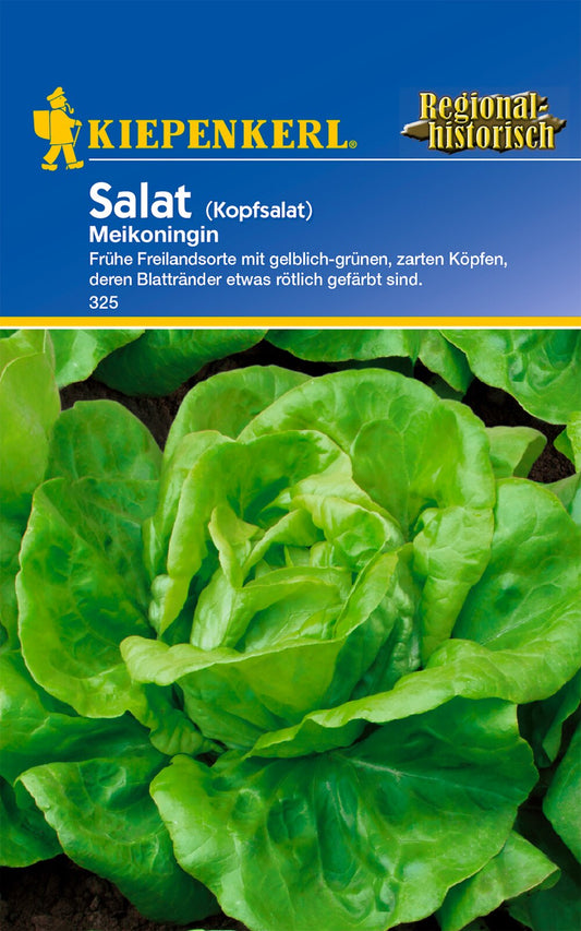 Kopfsalat Meikoningin