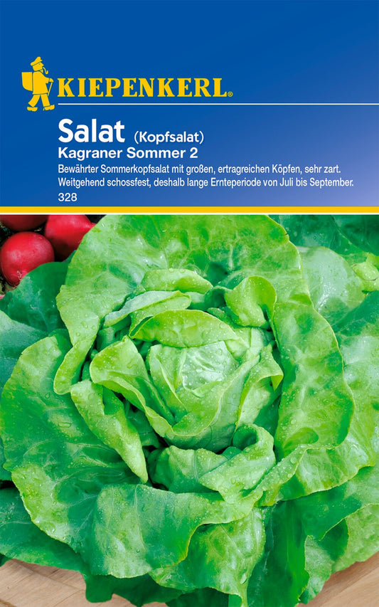 Kopfsalatsamen Kagraner Sommer 2