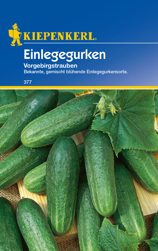 Einlegegurkensamen Vorgebirgstrauben