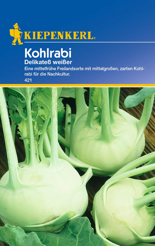 Kohlrabisamen Delikateß weißer