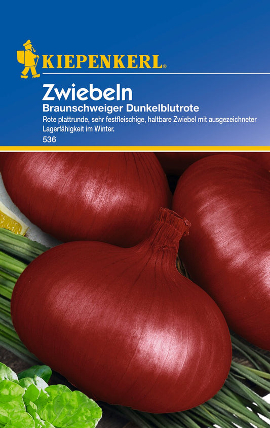 Zwiebelsamen De Brunswick