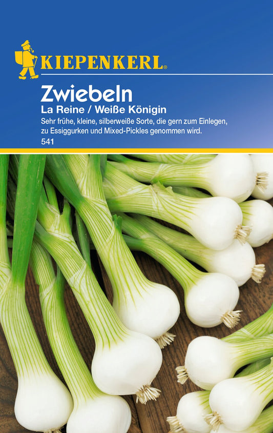 Zwiebelsamen De la Reine