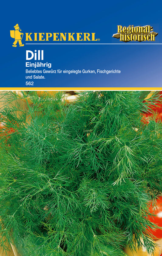 Dillsamen, einjährig