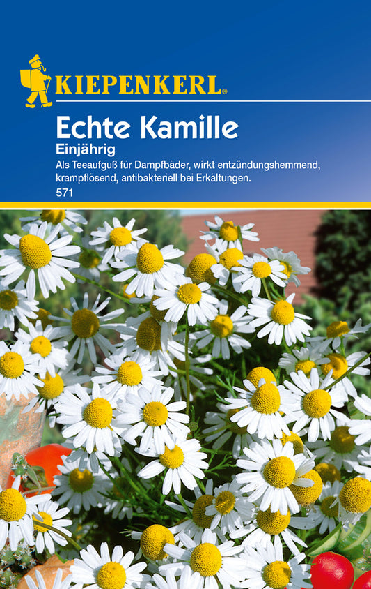 Echte Kamillesamen, einjährig