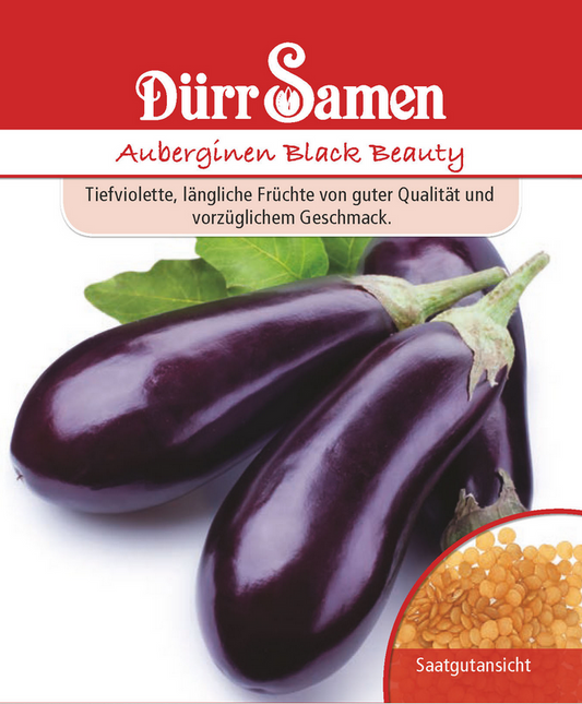 Aubergine Black Beauty