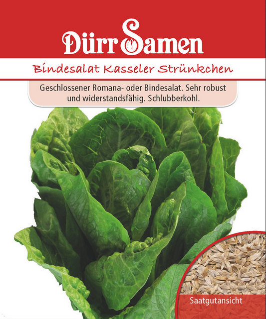 Romana- oder Bindesalat Kasseler Strünkchen