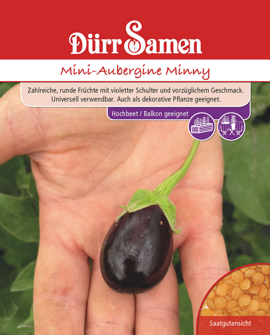 Mini Aubergine Minny